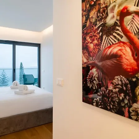 Guestready - A Lovely With A Sea View Фуншал